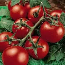 AGRICULTURE AND NUTRITION